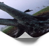 Jeremiah 29:11 de Druk van het Poster van de Manus (Hoek)