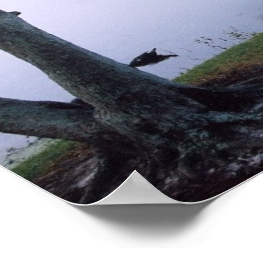 Jeremiah 29:11 de Druk van het Poster van de Manus (Hoek)