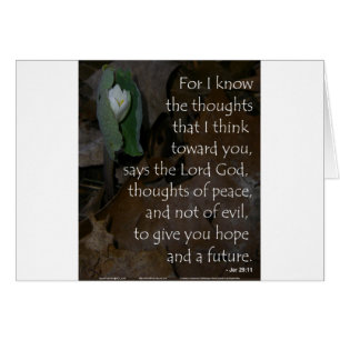 Jeremiah 29:11 hoop voor de toekomst