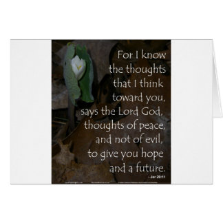 Jeremiah 29:11 hoop voor de toekomst