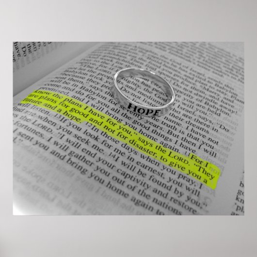 Jeremiah 29:11 - Hope Poster (Voorkant)