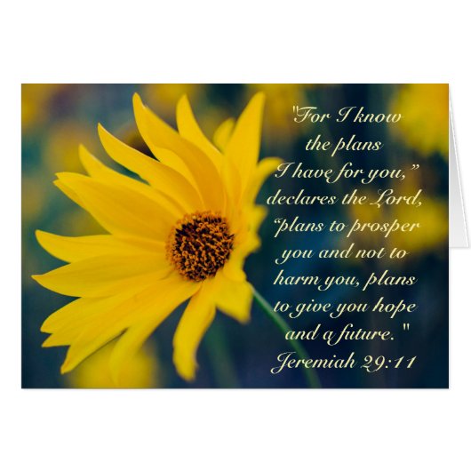 Jeremiah 29:11 Ik ken de plannen die ik voor u heb (Voorkant Horizontaal)