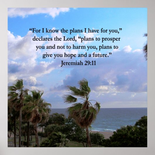 JEREMIAH 29:11 INSPIREREND VERSE POSTER (Voorkant)