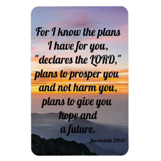 Jeremiah 29:11, koelkast Magnet Magneet (Verticaal)