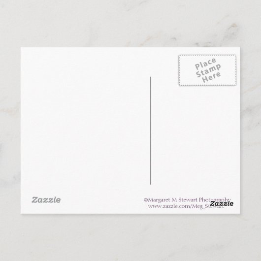 Jeremiah 29:11 Lilacs Briefkaart (Achterkant)