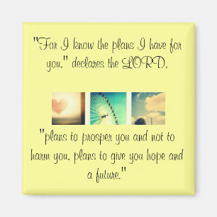 Jeremiah 29:11 magneet