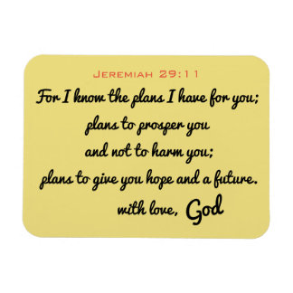Jeremiah 29:11 Magnet Magneet