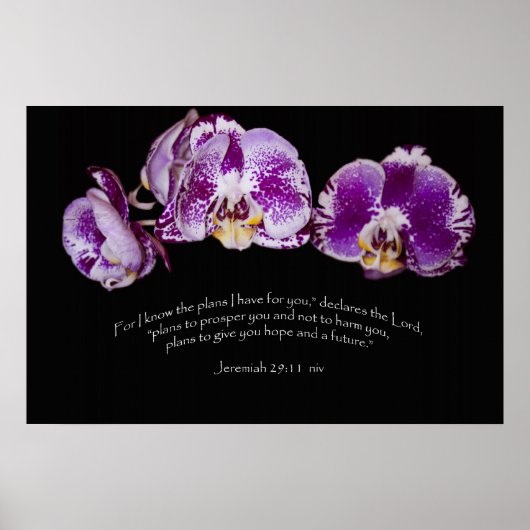 Jeremiah 29:11 poster (Voorkant)