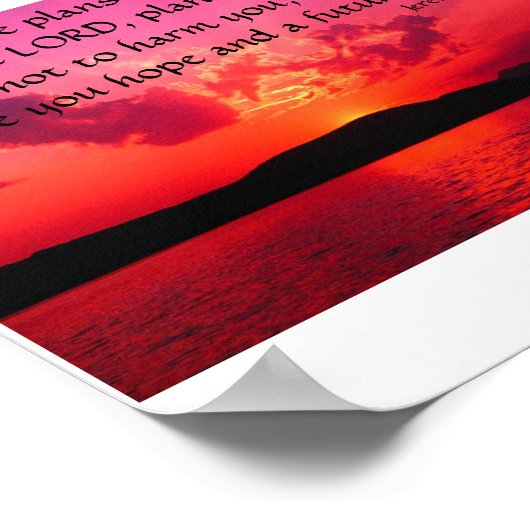 Jeremiah 29:11 poster (Hoek)