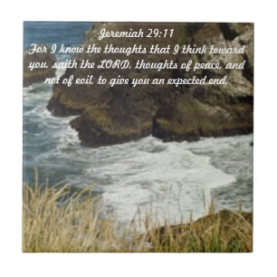 Jeremiah 29:11 Tile Tegeltje