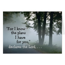 Jeremiah 29:11 Want ik ken de plannen die ik heb