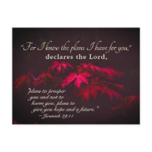 Jeremiah 29:11 Want ik ken de plannen die ik voor
