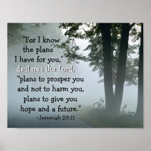 Jeremiah 29:11 Want ik ken de plannen die ik voor  Poster
