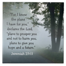 Jeremiah 29:11 Want ik ken de plannen die ik voor