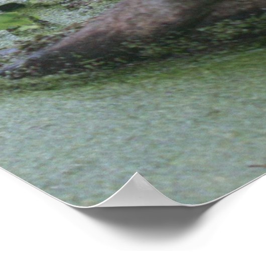 Jeremiah 29:13 de Druk van de Manuscript Poster (Hoek)