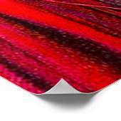 Jeremiah 36 Jehoiakim Burns Gods Word poster (Hoek)