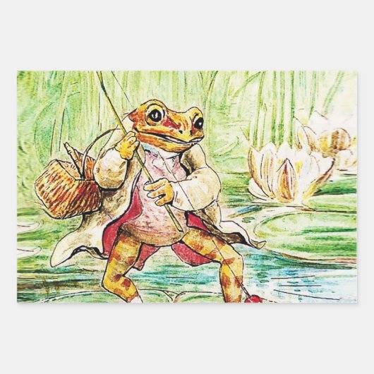 “Jeremy Fisher Catches a Fish” by Beatrix Potter Inpakpapier Vel (Voorkant)