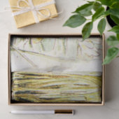 Jeremy Fisher op een waterlelieblad door Beatrix P Tissuepapier (Geschenk)