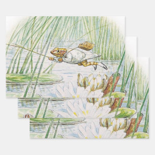 Jeremy Fisher pakt een grote sprong van Beatrix Po Inpakpapier Vel