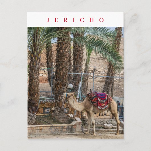Jericho camel uitzicht briefkaart (Voorkant)