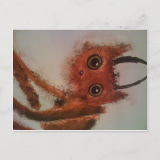 Jerk Monster Briefkaart