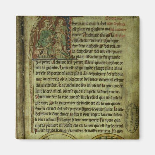 Jerome: Een arts die een patiënt bezoekt Magneet (Voorkant)