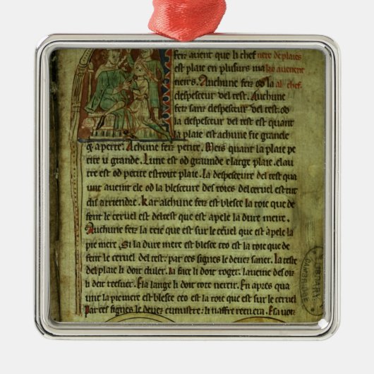 Jerome: Een arts die een patiënt bezoekt Metalen Ornament (Voorkant)