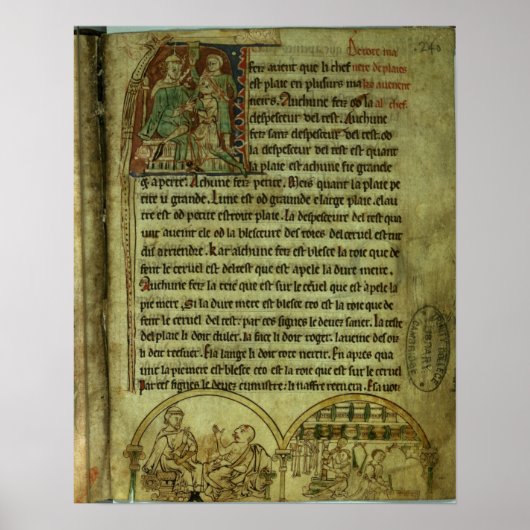 Jerome: Een arts die een patiënt bezoekt Poster (Voorkant)