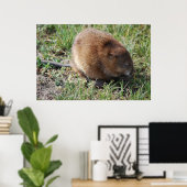 Jerry de muskrat poster (Thuiskantoor)