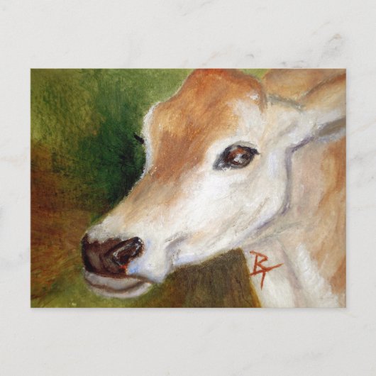 Jersey Cow aceo Briefkaart (Voorkant)