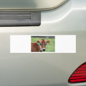 Jersey Cow Bumpersticker (Op auto)