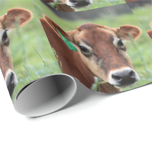 Jersey Cow Cadeaupapier (Rol Hoek)