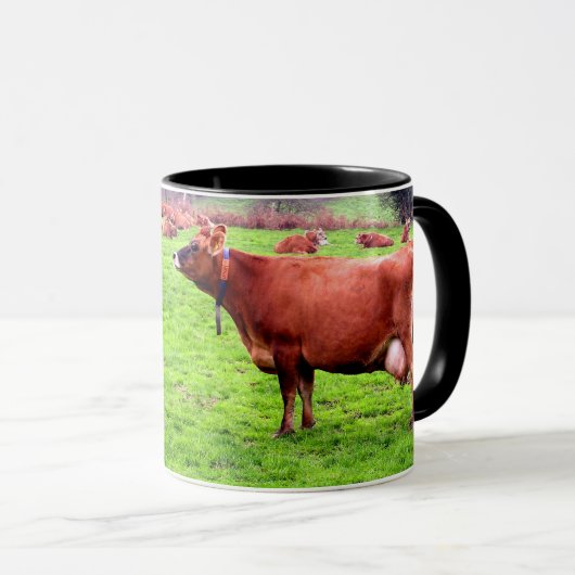 JERSEY COW IN JERSEY MOK (Voorkant rechts)