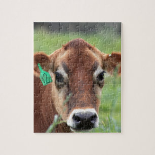 Jersey Cow Legpuzzel