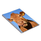 Jersey Cow Licking zijn Nose Notitieboek (Rechterzijde)