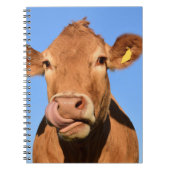 Jersey Cow Licking zijn Nose Notitieboek (Voorkant)