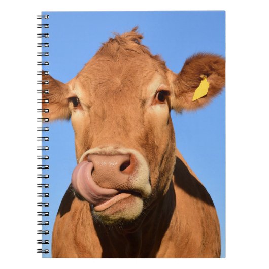 Jersey Cow Licking zijn Nose Notitieboek (Voorkant)