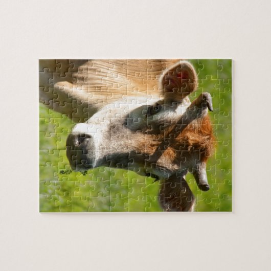  Jersey Cow Stare Legpuzzel (Horizontaal)