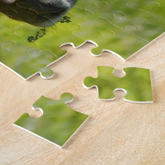 Jersey Cow Stare Legpuzzel (Zijkant)