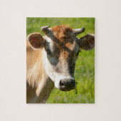 Jersey Cow Stare Legpuzzel (Verticaal)