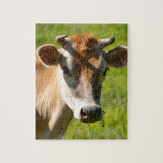 Jersey Cow Stare Legpuzzel (Verticaal)