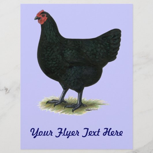 Jersey Giant: Black Hen Flyer (Voorkant)
