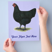 Jersey Giant: Black Hen Flyer (Hand)