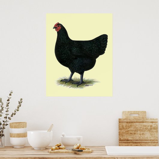 Jersey Giant: Black Hen Poster (Keuken)