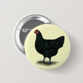 Jersey Giant: Black Hen Ronde Button 5,7 Cm (Voorkant /achterkant)