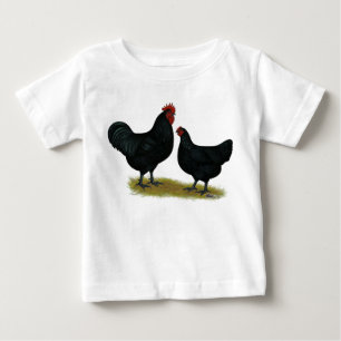 Jersey Giant Chickens