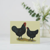 Jersey Giant Chickens Briefkaart (Staand voorkant)