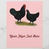 Jersey Giant Chickens Flyer (Voorkant)