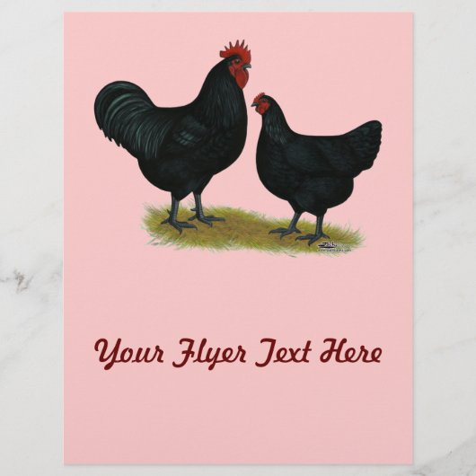 Jersey Giant Chickens Flyer (Voorkant)