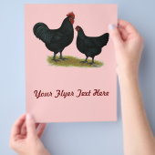 Jersey Giant Chickens Flyer (Hand)